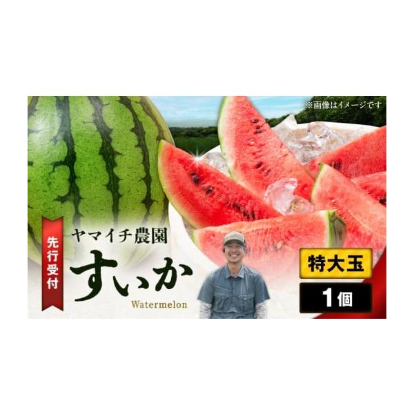 容量特大玉スイカ 1個【原材料名】スイカ【原材料産地】三浦市発送期日2026年7月下旬より順次お届けいたします。配送常温 別送申込期日2026年6月15日までにご入金をお願いいたします。事業者ヤマイチ農園申込条件何度も申し込み可、オンライン...