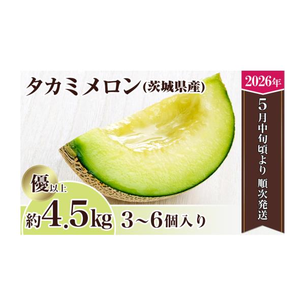 ふるさと納税 メロン メロン青肉 茨城県 下妻市 先行予約 茨城県