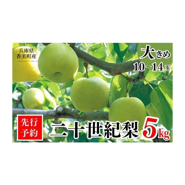 容量二十世紀梨　秀品（Aランク）約5kg（1玉350g〜500gを10〜14玉）※基本は大玉をお届けしますが、天候に左右されて小玉となる場合がございます。なお、サイズ規格の違いのみで、品質、総重量に相違はございません。 消費期限【賞味期限】...