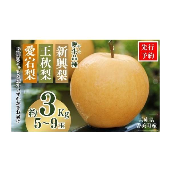 容量晩生品種（新興梨、王秋梨、愛宕梨）のいずれか約3kg（5〜9玉）※基本は大玉をお届けしますが、天候に左右されて小玉となる場合がございます。なお、サイズ規格の違いのみで、品質、総重量に相違はございません。 ※時期によってお届けする品種が変...