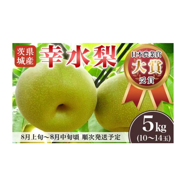 容量茨城県産「幸水梨」約5kg（10〜14玉）消費期限常温で5日程度発送期日2026年8月上旬〜8月中旬にかけて発送予定※天候などの影響や育成具合により、発送時期が変動する場合がございます。※お申込み時に「到着日のご指定」・「曜日指定」はお...