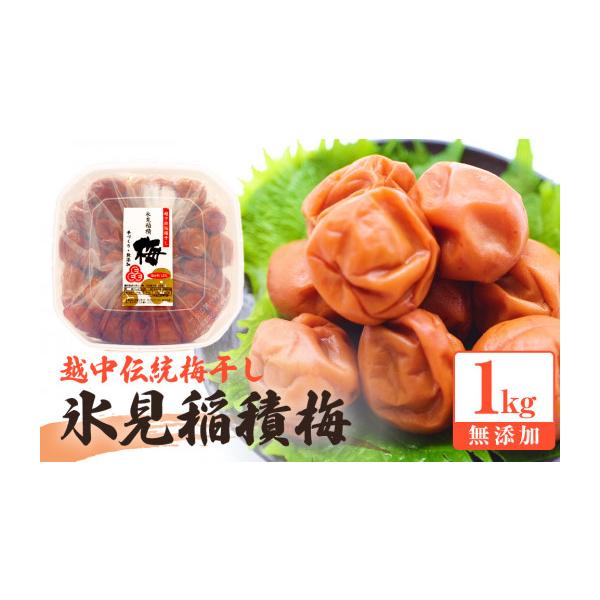 ふるさと納税 加工品等 梅干 富山県 氷見市 越中伝統梅干し 氷見稲積梅 1kg （塩分約12%）｜富山県固有種 添加物不使用 手作り