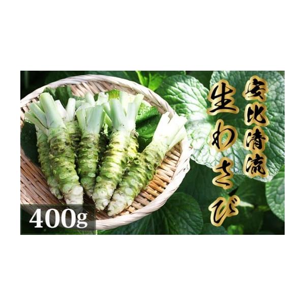 容量生わさび400g品種：ファースト、正緑など※まれに茎の隙間に小さなミミズが入っていることがありますが、わさびに害はありませんので安心してお召し上がりください。水でよく洗い流してください。※季節によってわさびの色、形、大きさが多少異なりま...