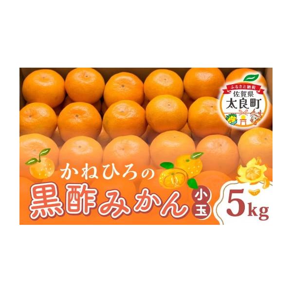 みかん様の専用です。 ふるさと納税 果物類 みかん 佐賀県 太良町 L-39 かねひろの黒酢