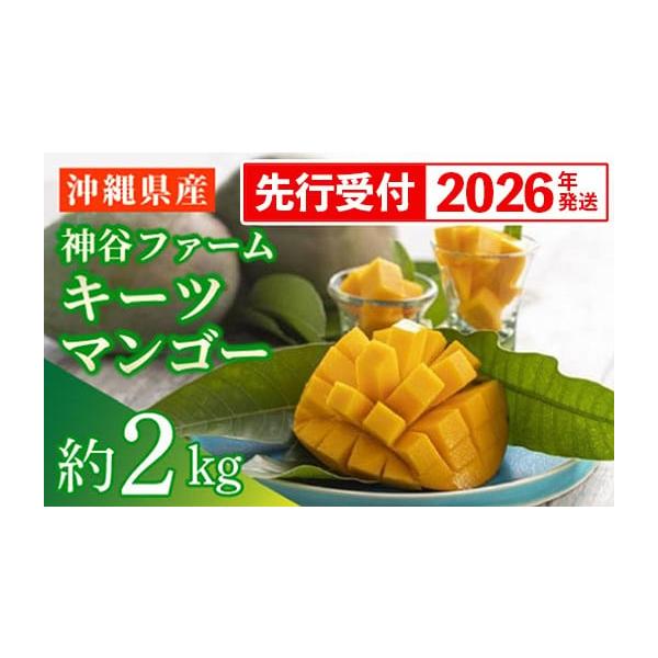 容量・キーツマンゴー約2kg(2〜3玉) ※玉数の指定はできません※数に限りがございます。申込数が予定数に達し次第締め切らせて頂きます。アレルギー：ウルシ科消費期限備え付けのリーフレットを参照ください。発送期日2026年8月中旬〜9月上旬頃...