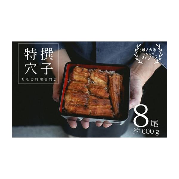 容量特撰焼きあなご 合計約600g 8尾入タレ約60g×3ケ入発送期日配送冷蔵 別送事業者民宿　青島申込条件何度も申し込み可