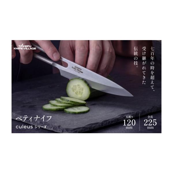ふるさと納税 包丁 福井県 越前市 予約販売 越前打刃物 ステンレスペティナイフ「クレウス12P」タケフナイフビレッジ協同組合