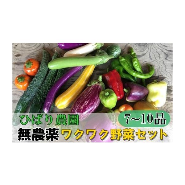 容量季節の野菜詰め合わせ（7〜10品）消費期限約１週間青果物のため、お早めにお召し上がりください。発送期日【6月より発送開始】６月からは30日以内に発送いたします。※天候や収穫状況により商品内容の変更や発送が遅れる場合がありますので予めご了...