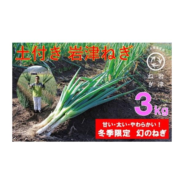 容量土付き岩津ねぎ3kg消費期限到着開封後、1週間発送期日12月10日以降順次発送※配送日の指定、北海道・東北・沖縄・離島へのお届けはできません。※郵便振替は決済完了後、市が入金確認できるまで３営業日ほど時間を要します。配送常温 時間指定 ...