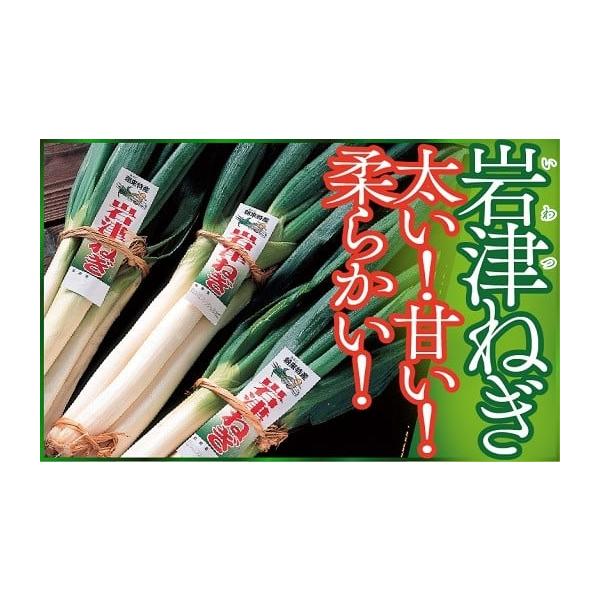 容量岩津ねぎ2kg　※箱入り消費期限発送日から1週間発送期日令和7年12月上旬から順次発送。※恐れ入りますが、発送期日のお問い合わせには対応いたしかねます。※配送日の指定、北海道・東北・沖縄・離島へのお届けはできません。配送常温 時間指定 ...