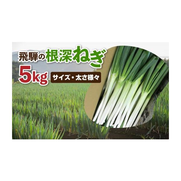 容量飛騨の根深ねぎ　５ｋｇ消費期限約２週間発送期日2026年9月下旬から12月上旬頃まで順次発送いたします。発送期間以外の時期は予約期間です。 11月27日までの決済完了で年内発送。11月28日以降のご決済の場合は翌年9月以降の発送です。※...