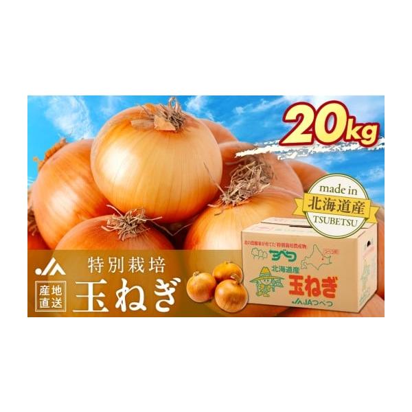 容量20kg消費期限発送日より30日程度（保管の目安ですので、品質を保証するものではありません）発送期日2026年11月上旬より順次（予定発送期間2026年11月上旬〜2027年2月中旬頃）※受付順に随時発送致します配送常温 時間指定 別送...