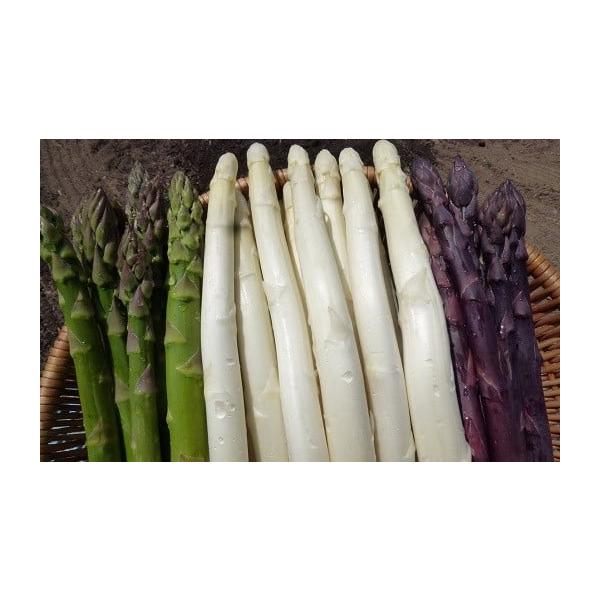 容量北海道産 アスパラガス 1kg・カルデラの貴婦人（ホワイトアスパラ ４Ｌ）・カルデラの貴公子（グリーンアスパラ ３Ｌ）・カルデラの紫宮女（パープルアスパラ ３Ｌ）消費期限青果品のため、到着後はなるべく早くお召し上がり下さい。発送期日２０...