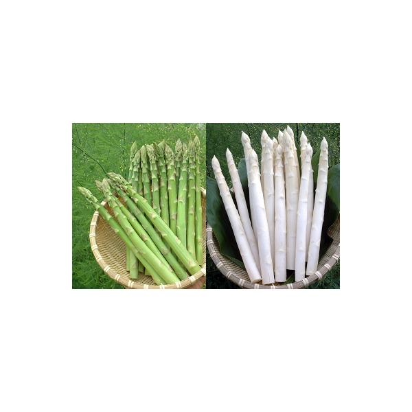 容量カルデラの貴婦人：５００ｇ（ホワイトアスパラ ２Ｌ）カルデラの貴公子：５００ｇ（グリーンアスパラ ＬＭ）消費期限生鮮品のため、到着後はお早目にお召し上がり下さい。発送期日２０２６年６月１〜３０日（予定）★2026年産の先行予約の返礼品と...