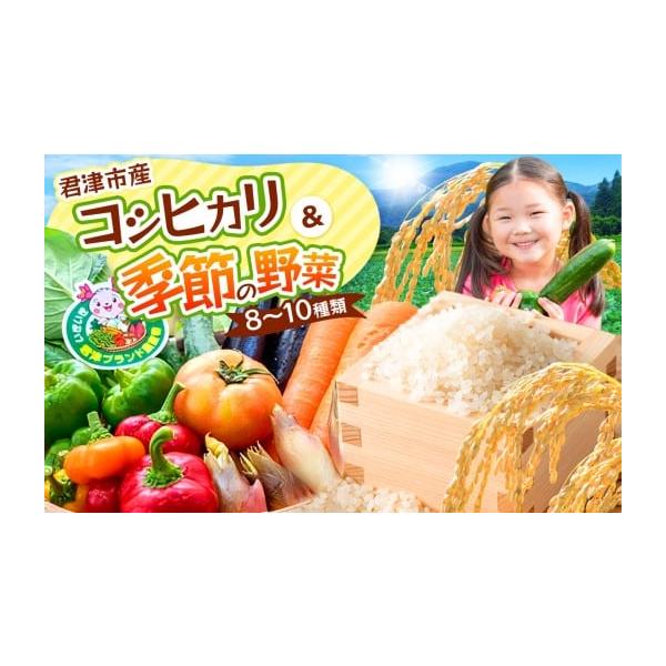 容量君津市産季節の野菜8〜10種類コシヒカリ 精米 3kg消費期限野菜：お早めに　／　米：冷蔵で3週間前後発送期日寄附納入確認後、1〜2ヶ月前後で発送します。※5月〜9月は【冷蔵】で発送します。※長期不在のご予定があれば備考欄にご記入くださ...