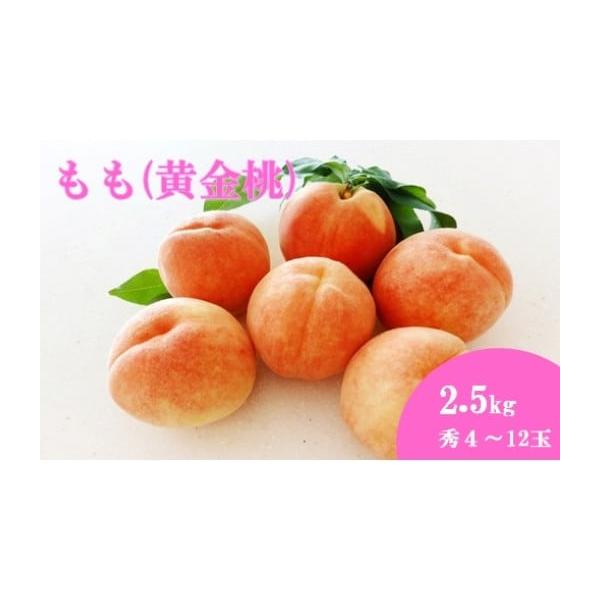 容量2.5kg(秀4〜12玉)消費期限1週間程度発送期日2026年8月下旬〜9月上旬配送冷蔵 のし 時間指定 別送申込期日2026年7月31日まで事業者成生土づくり研究会申込条件何度も申し込み可