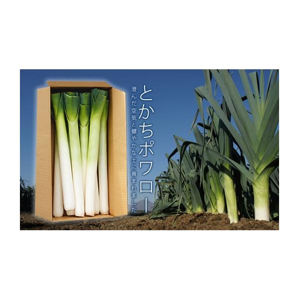 容量とかちポワロー（リーキ、ポロネギ）Lサイズ　3kg消費期限ご到着後、お早めにお召し上がり下さい。発送期日2025年11月上旬より順次発送配送常温 時間指定 別送申込期日2026年3月31日まで申込条件何度も申し込み可