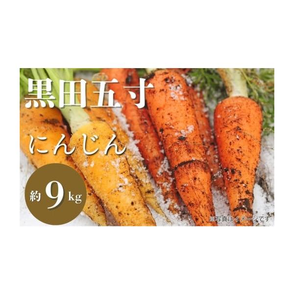 容量訳あり　有機栽培人参（農薬化学肥料不使用）9ｋｇ二股や割れ、頭が光合成で緑や紫色に変わったもの、大小の人参さんが入ります。（山のミネラル水で泥を軽く落とした状態）消費期限：生鮮品の為お早目にお召し上がりください。保存は冷蔵庫もしくは冷暗...