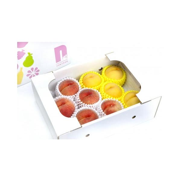 容量約3kg(秀6〜11玉)消費期限1週間程度発送期日2026年8月中旬〜9月上旬【配達】ヤマト運輸配送冷蔵 のし 時間指定 別送申込期日2026年8月20日まで事業者有限会社 仲野観光果樹園申込条件何度も申し込み可