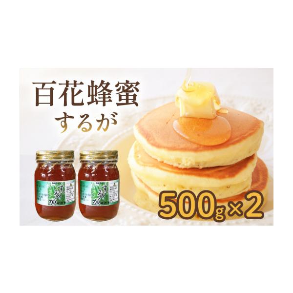 ふるさと納税 加工品等 はちみつ 静岡県 藤枝市 百花蜜 500g × 2本 計