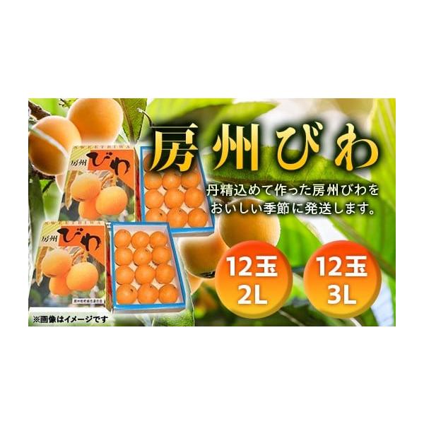 容量房州びわ　3Lサイズ　12玉2Lサイズ　12玉の合計24玉お手元に届いてからお早めに常温でお召し上がりください。消費期限賞味期限：到着後3日発送期日令和8年5月中旬頃〜令和8年6月中旬頃※収穫状況によりこの限りではありません配送常温 時...