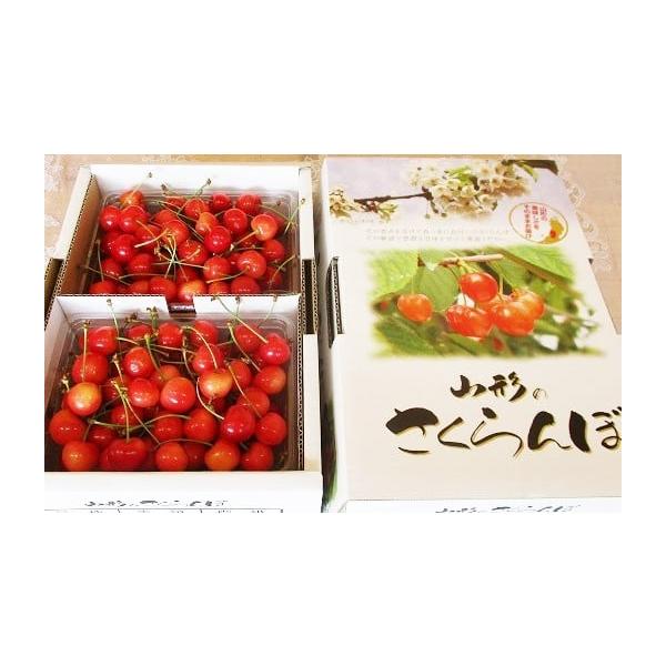 容量佐藤錦　８００ｇ（４００ｇ×２パック）バラ詰めＭ〜Ｌサイズ混合品　ご家庭用※サイズの指定はできません。※天候により出荷時期や規格（数、サイズ、品種等）を変更する場合がございます。発送期日２０２６年６月上旬〜６月下旬迄※ご不在日が多く配達...