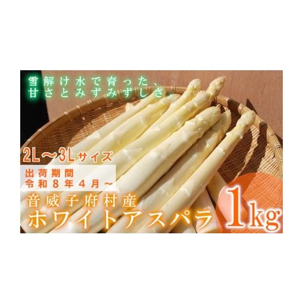 容量ホワイトアスパラガス　1kg（サイズ：２Ｌ〜３Ｌ）【数量限定】※本返礼品はオンライン決済での寄附限定です。消費期限生鮮品のため、早めにお召し上がりください。発送期日準備ができ次第、順次出荷いたします。※天候や発育により出荷時期は前後しま...
