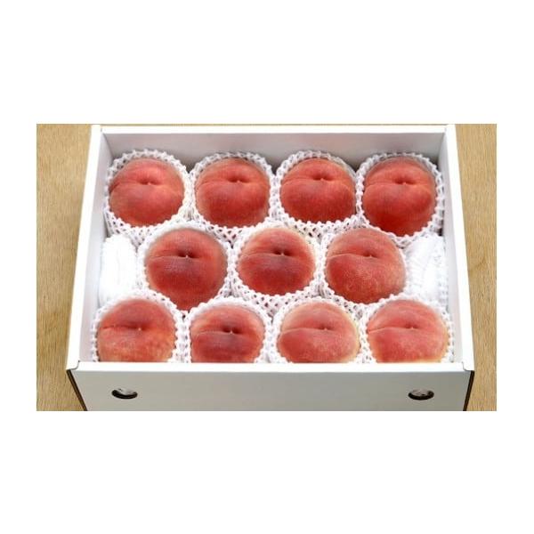 容量3kg(秀8〜12玉)消費期限1週間程度発送期日2026年8月中旬〜8月下旬【配達】ヤマト運輸気温状況に応じて冷蔵または常温発送となります配送常温 冷蔵 のし 時間指定 別送申込期日2026年8月10日まで事業者企業組合 スイーツキッチ...