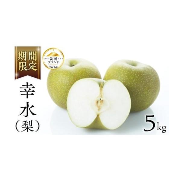 容量1箱（8〜14玉）約5kg発送期日7月下旬〜8月中旬にかけてお届け※天候や生育状況により時期が前後する場合がございます配送常温 別送申込期日2026年7月31日まで事業者JA北つくばファーマーズマーケットきらいち筑西店申込条件何度も申し込み可