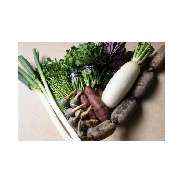 容量約3kg消費期限1〜2週間発送期日準備でき次第順次発送配送常温 別送事業者北形青果株式会社申込条件何度も申し込み可