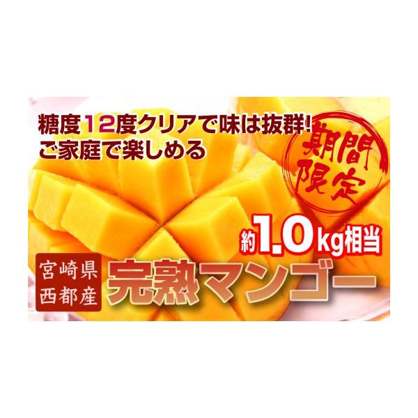 ふるさと納税 マンゴー 宮崎県 西都市  JA選果 訳ありご家庭用 西都産完熟マンゴー 糖度12度以上 3〜4玉入り 約1kg マンゴーランキング1位 アップルマンゴー …
