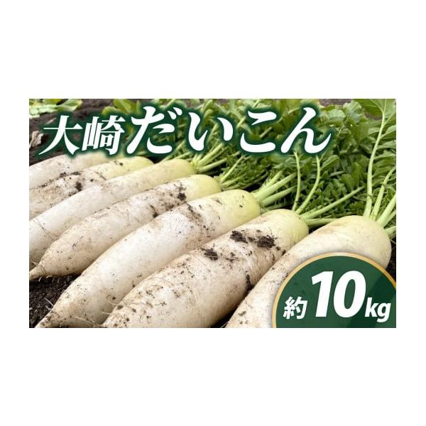 容量大崎だいこん 10kg（1箱）発送期日2026年10月以降順次発送予定※生育状況により配送時期が前後することがあります。配送常温 別送申込期日2026年9月30日まで事業者JA石川かほく申込条件何度も申し込み可