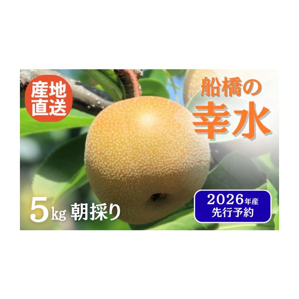 容量5kg消費期限発送日より約1週間※お手元に届きましたら、必ずすぐに箱を開けてください。※傷み等ある場合は当日中にご連絡ください。発送期日2026年8月上旬予定※生育状況により前後する場合がございます。※発送前の事前連絡及び発送後の事後連...