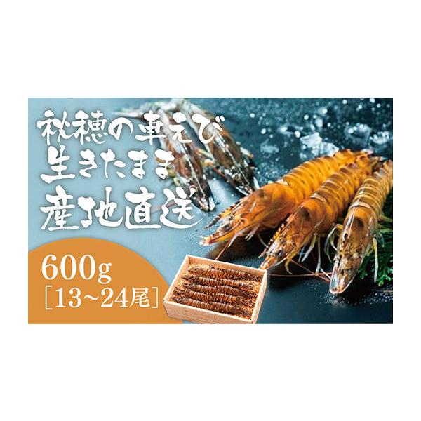 ふるさと納税 エビ 車エビ 山口県 山口市 D024 活きあいおえび600g（13