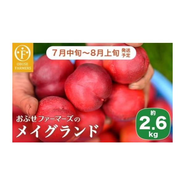 容量メイグランド（ネクタリン）約2.6kg消費期限なるべく早くお召し上がりください発送期日2026年7月中旬〜8月上旬予定※天候や収穫状況により、お届けや規格が変更になる場合がございます。配送冷蔵 別送申込期日2026年7月15日まで※期限...