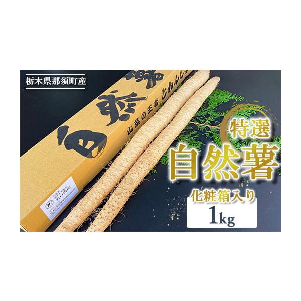 容量・那須町産　自然薯　約1kg・押し麦45ｇ消費期限発送日から冷蔵保存で2週間発送期日2025年12月頃より順次発送予定配送常温 時間指定 別送申込期日通年事業者矢口農産申込条件何度も申し込み可