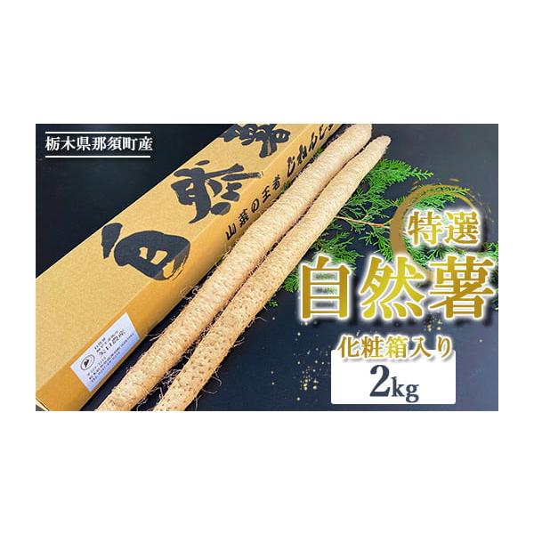 容量・那須町産　自然薯　約2kg　・押し麦45ｇ消費期限発送日から冷蔵保存で2週間発送期日2025年12月頃より順次発送予定配送常温 時間指定 別送申込期日通年事業者矢口農産申込条件何度も申し込み可