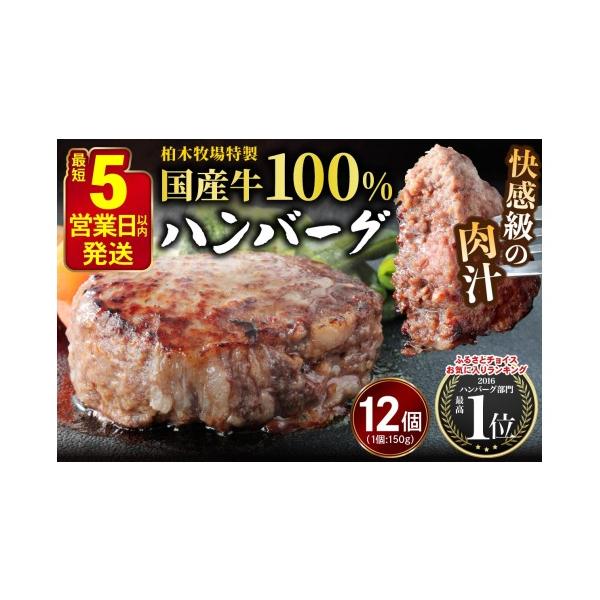ふるさと納税 肉 ハンバーグ 神奈川県 伊勢原市 5営業日以内発送 柏木