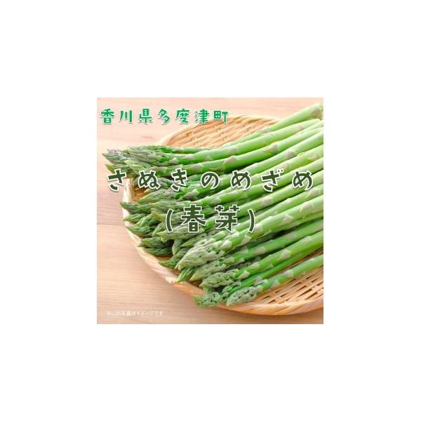 容量約800g発送期日3月上旬から5月下旬の発送です。配送冷蔵 別送事業者株式会社ことひら街道申込条件何度も申し込み可