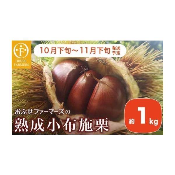 ふるさと納税 果物類 栗 長野県 小布施町  熟成小布施栗 約1kg ［おぶせファーマーズ］ 果物 フルーツ 生栗 くり 長野県産 信州産 令和8年産 2026年10月下旬〜…