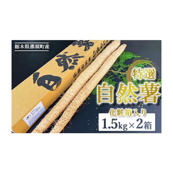 容量・那須町産　自然薯　1.5kg×2箱　・押し麦45ｇ消費期限発送日から冷蔵保存で2週間発送期日2025年12月頃より順次発送予定配送常温 時間指定 別送申込期日通年事業者矢口農産申込条件何度も申し込み可