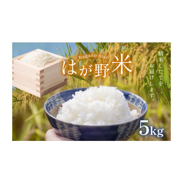 ちゃまこ　コシヒカリ ふるさと納税 米 コシヒカリ 栃木県 真岡市 令和7年 最高評価「特A」を