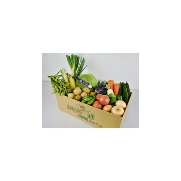 容量内容量・数量は季節によって異なります（5〜10品程、10Kg程度）消費期限賞味期限：野菜ごとに異なりますが、お届き次第お早めにお召し上がりください発送期日お申し込みから20日以内に発送配送冷蔵 別送申込期日通年事業者ＪＡ佐波伊勢崎申込条...