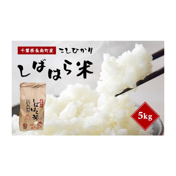 ふるさと納税 米 コシヒカリ 千葉県 長南町 9月中旬発送開始 新米 令和7年産 千葉県産コシヒカリ「しばはら米」 精米 5kg CNA001