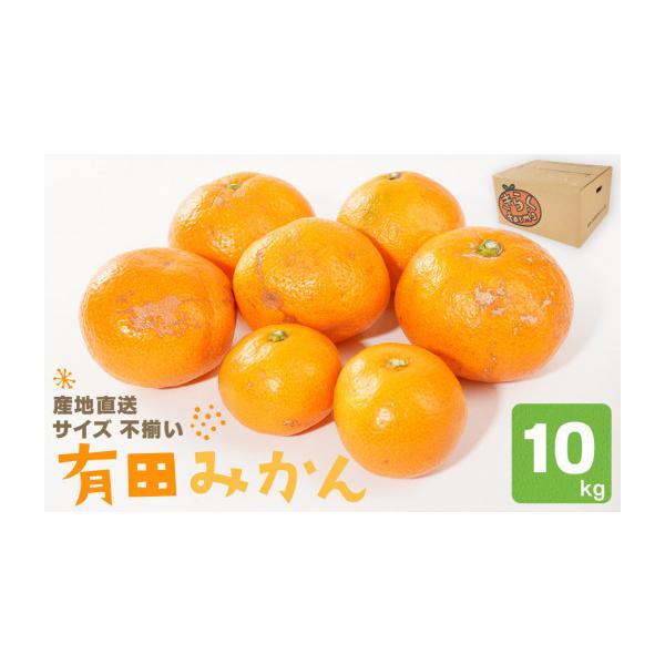ふるさと納税 果物類 みかん 和歌山県 有田川町 産地直送 有田みかん