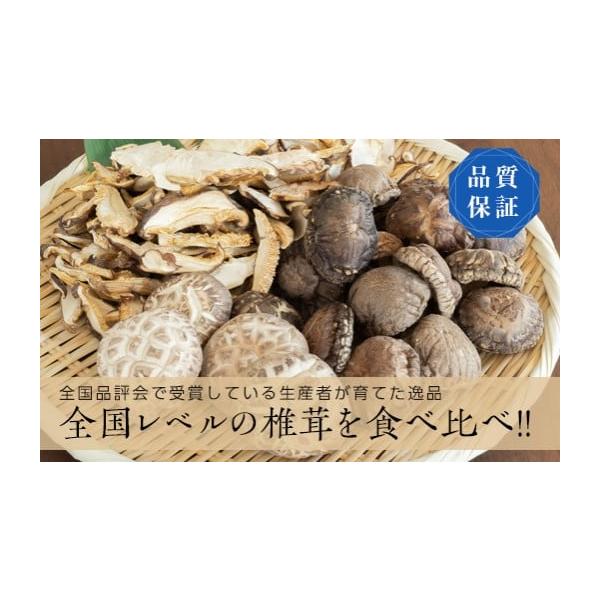 ふるさと納税 乾物 干ししいたけ 岩手県 山田町 乾燥しいたけいろいろ