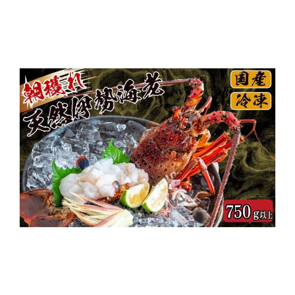 容量伊勢海老 750g〜850g程度（サイズにより1尾〜4尾） 消費期限到着後、冷凍保存で60日発送期日【2025年4月より順次配送】入金確認後、順次発送。  ※年末配送について 　天候や道路状況によって荷物がご希望の日に届かないことがある...