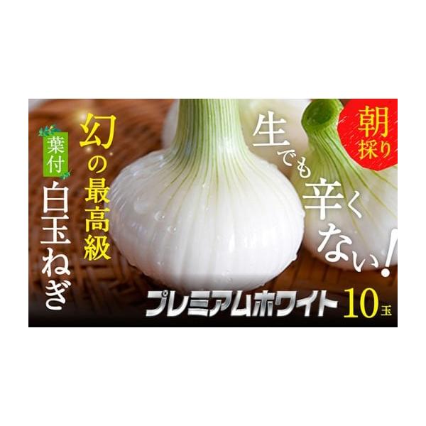 容量浜松篠原産【葉付新白玉ねぎ】プレミアムホワイト10玉【A級品L玉】消費期限※賞味期間：常温3〜5日発送期日2026年1月中旬〜2026年1月下旬配送常温 別送申込期日2026年1月10日まで事業者株式会社クライマワークス申込条件何度も申...