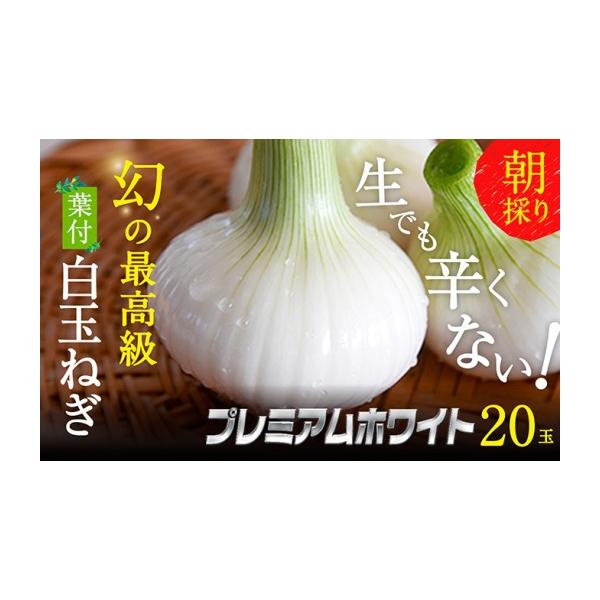 容量浜松篠原産【葉付新白玉ねぎ】プレミアムホワイト20玉【A級品L玉】消費期限※賞味期間：常温3〜5日発送期日2026年1月中旬〜2026年1月下旬配送常温 別送申込期日2026年1月10日まで事業者株式会社クライマワークス申込条件何度も申...