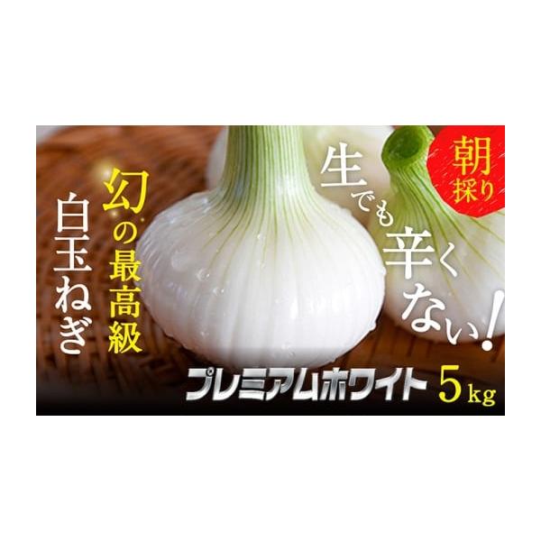 容量浜松篠原産新白玉ねぎプレミアムホワイト5キロ【無選別品】消費期限※賞味期間：常温3〜5日発送期日2026年1月中旬〜2026年2月中旬配送常温 別送申込期日2026年1月31日まで事業者株式会社クライマワークス申込条件何度も申し込み可、...